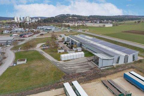 Allmendingen Halle, Allmendingen Hallenfläche