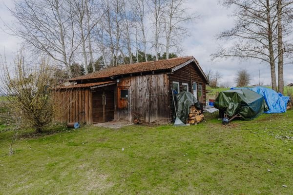 Scheine/Holz