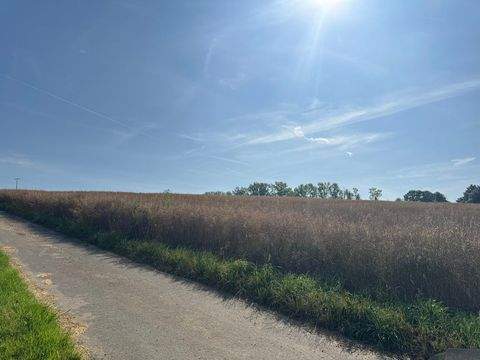 Breitscheid Bauernhöfe, Landwirtschaft, Breitscheid Forstwirtschaft