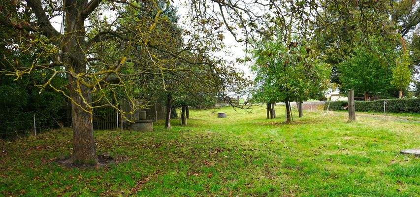 9a Gartenfläche.JPG