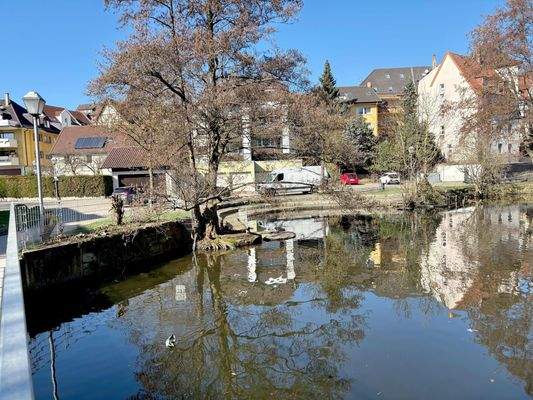 Teich in der Nachbarschaft