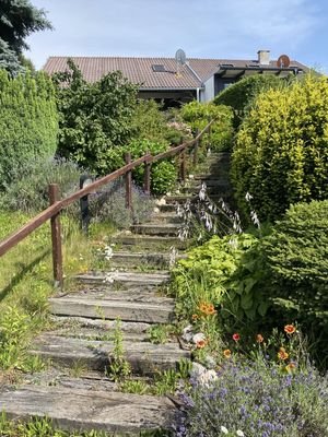 Treppe zum See