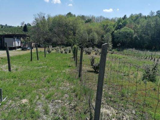  Grüne Feld etwa 1.800 m2