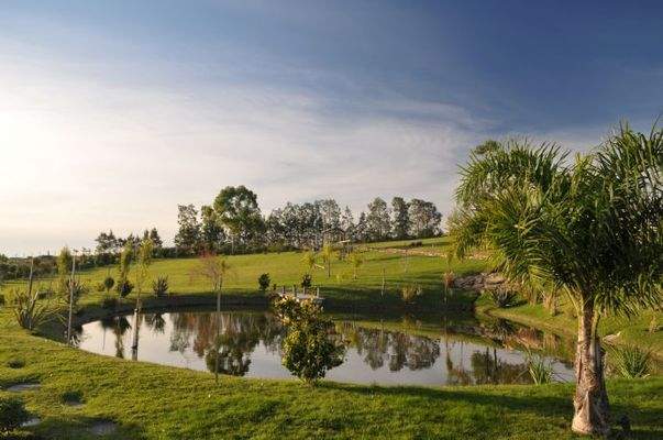 Naturteich inmitten des Parks