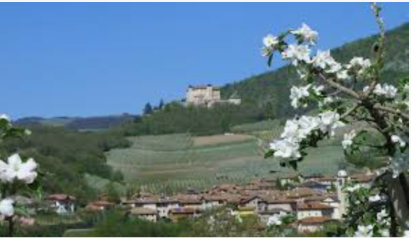 Baugrund-Trient-IhreChance-Eigenheim-Bauen-costruirecasa-Trentino