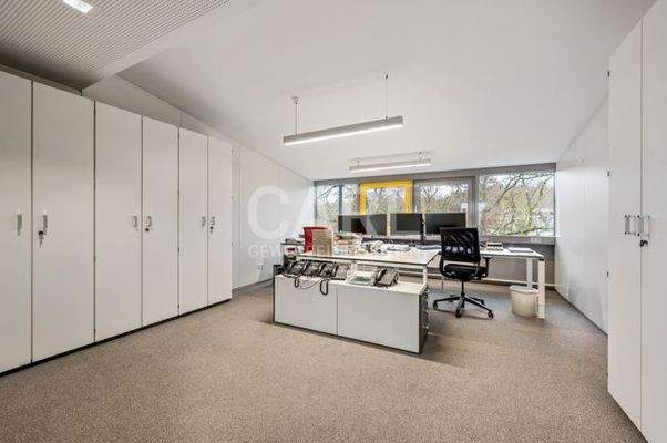 Weinstraße_20260221_40