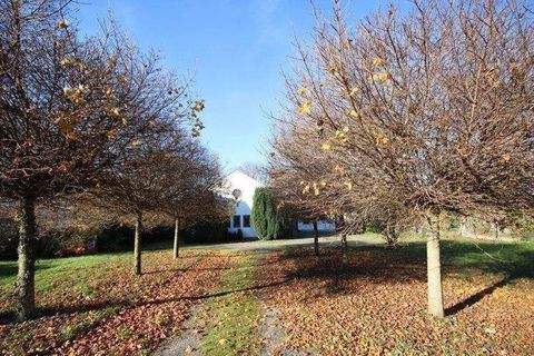 Meißner Häuser, Meißner Haus kaufen