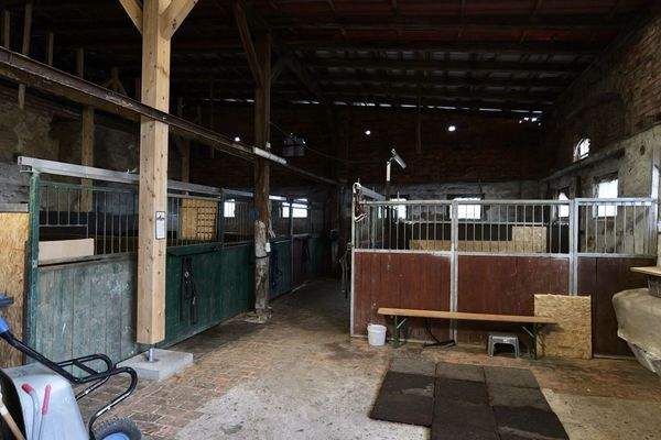Scheune mit Pferdeboxen