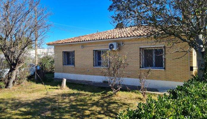 WhatsApp Image 2025-02-12 at 17.32.06 (21).jpeg