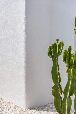 BAJA  RESOLUCION (5)