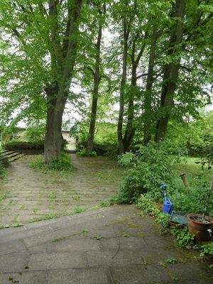 Lindenplatz vor dem Haus