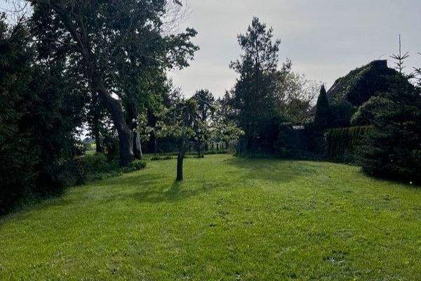 Blick auf das Grundstück