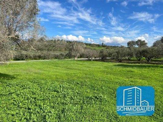 Kreta, Pitsidia: Grundstück zwischen zwei schönen Dörfern zu verkaufen