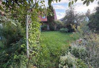 Blick vom Garten Richtung Haus