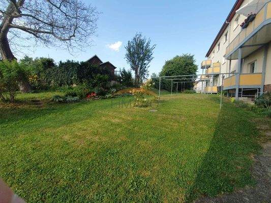 Gemeinschaftsgarten...