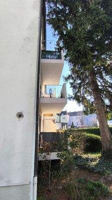 IMG_20260323_102521_1