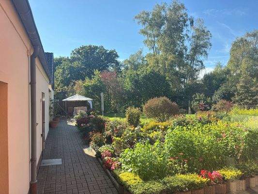 Blick aus der Küche