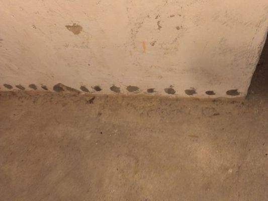 26 Altbau Keller Bohrlochinjektion.jpg