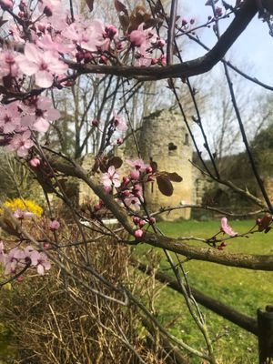 Blick auf die angrenzende Ruin