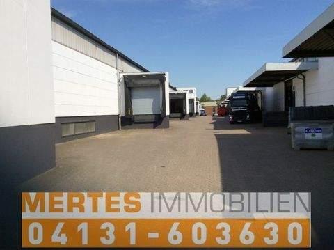 Hamburg Halle, Hamburg Hallenfläche