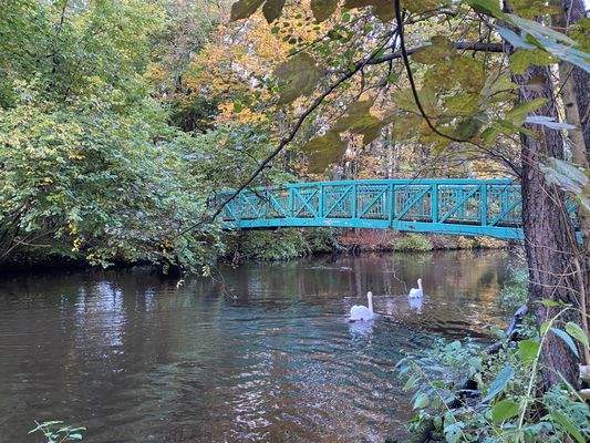 Alsterwanderweg Ansciht 2