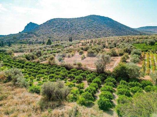 72474758888d436f82ec00646bc05233-original