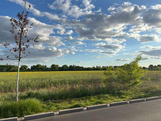 Straße 3, Ihr Blick ins Grüne
