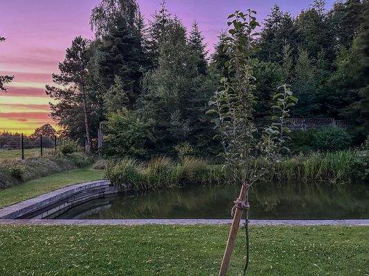 Impressionen vom Eigentümer