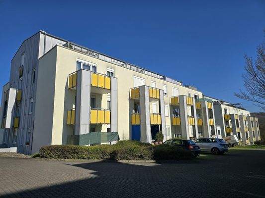 PHOTO-2026-03-06-12-04-33 2