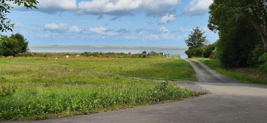 Ausblick vom Grundstück