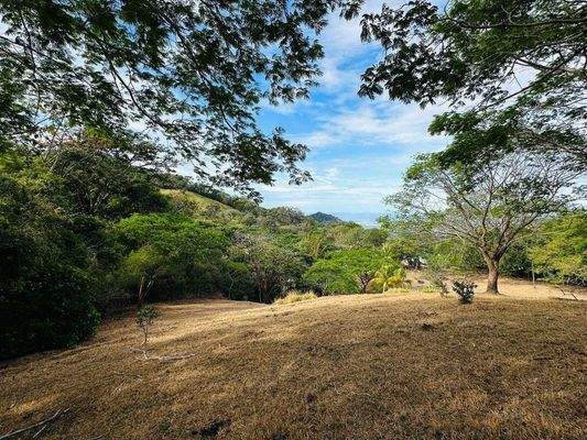 Pachtgrundstück auf Nachfrage (5)