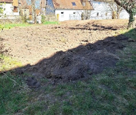 Gartenfläche