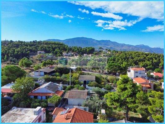 ced1f61acaf7444cba7bdc3d163e476f-original