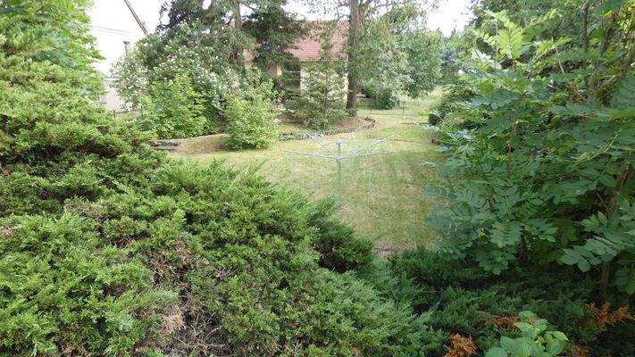 Blick in den Garten von der Terrasse aus
