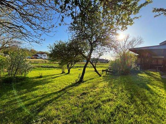 49) Hinterm Haus 1 (4).jpg