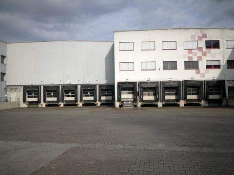 Bingen am Rhein Halle, Bingen am Rhein Hallenfläche