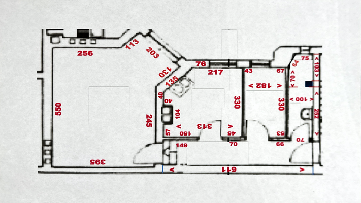 Grundriss  Mario.png