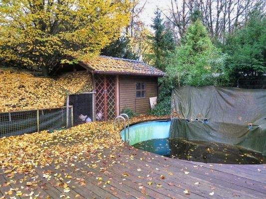 Pool und Hühnerstall