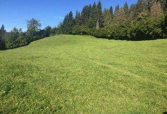 Ansicht Wiese / Weide