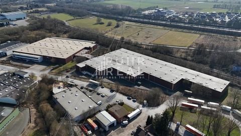 Bünde Halle, Bünde Hallenfläche