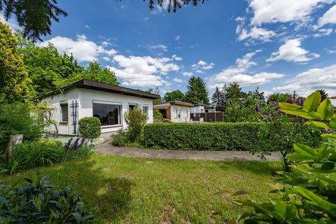 Jesewitz / Liemehna Häuser, Jesewitz / Liemehna Haus kaufen