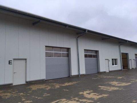 Henstedt-Ulzburg Halle, Henstedt-Ulzburg Hallenfläche