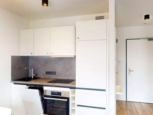 Moderne Einbauküche