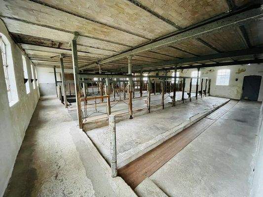 Nutzraum - Stallung 1