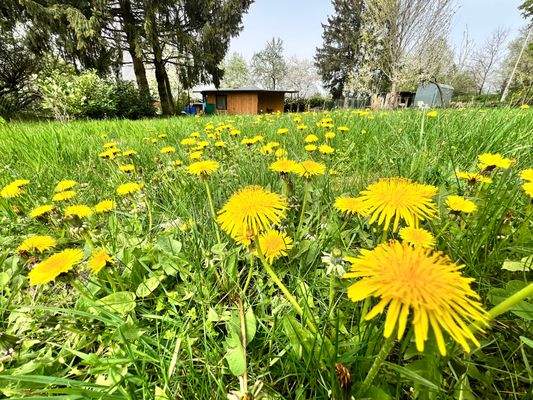 ... in Ihrem neuen Gartenparadies.