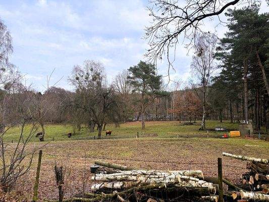 Ausblick Richtung See