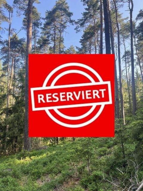 Berg Bauernhöfe, Landwirtschaft, Berg Forstwirtschaft