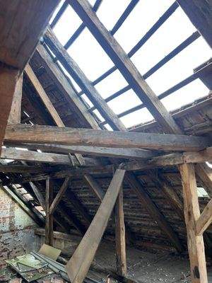 WhatsApp Bild 2025-10-13 um 07.36.15_ecf0b180.jpg