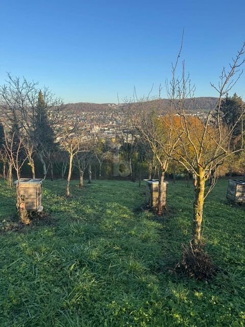 Lörrach Bauernhöfe, Landwirtschaft, Lörrach Forstwirtschaft