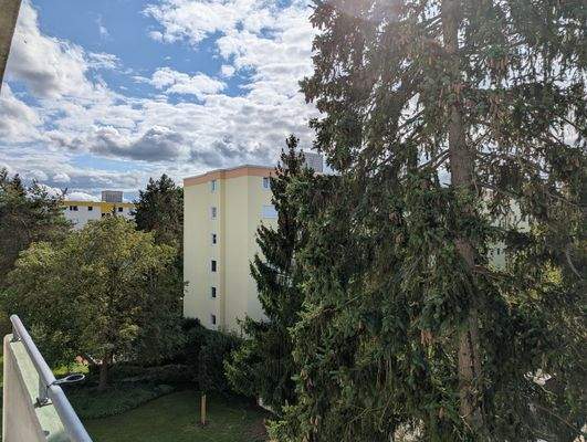 Blick vom Balkon.jpg